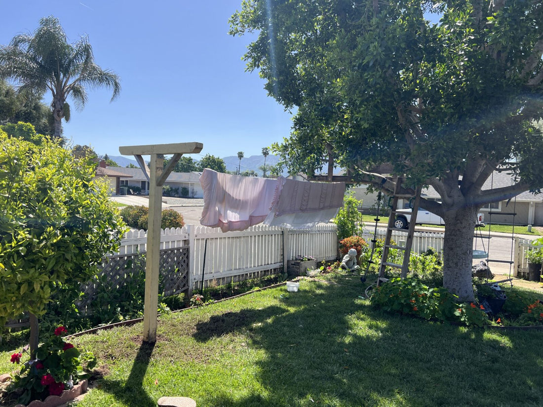 Homesteading in the Suburbs : Bloom where you are planted