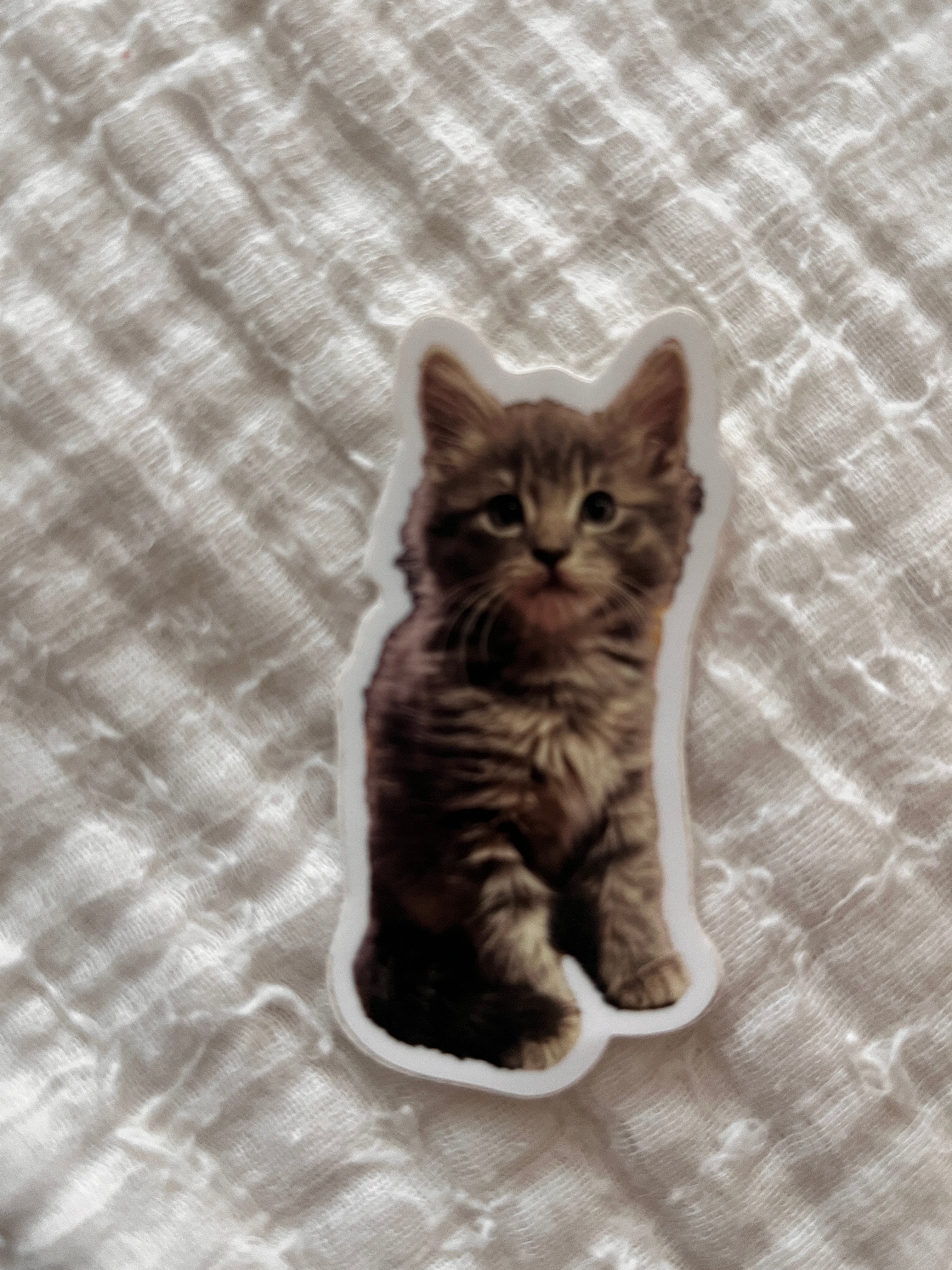 Vinyl stickers